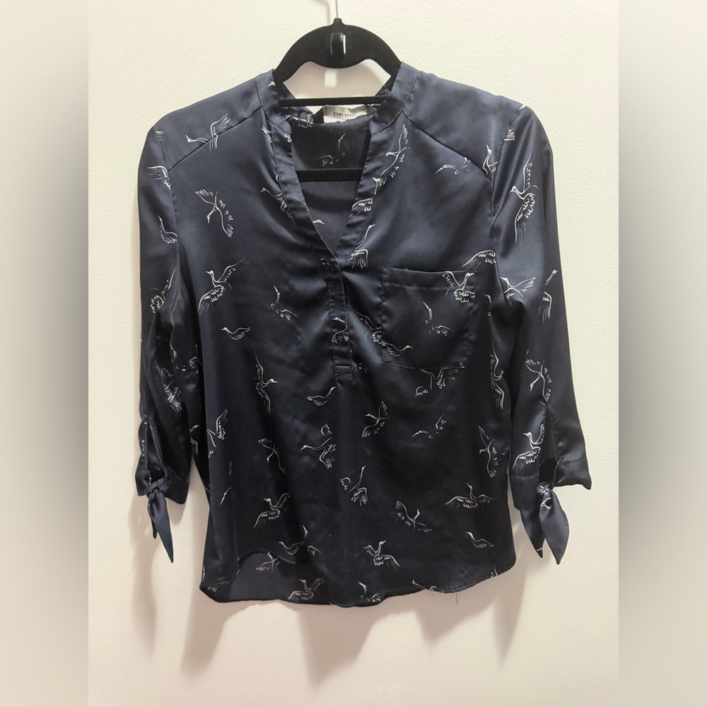 Zara Blouse